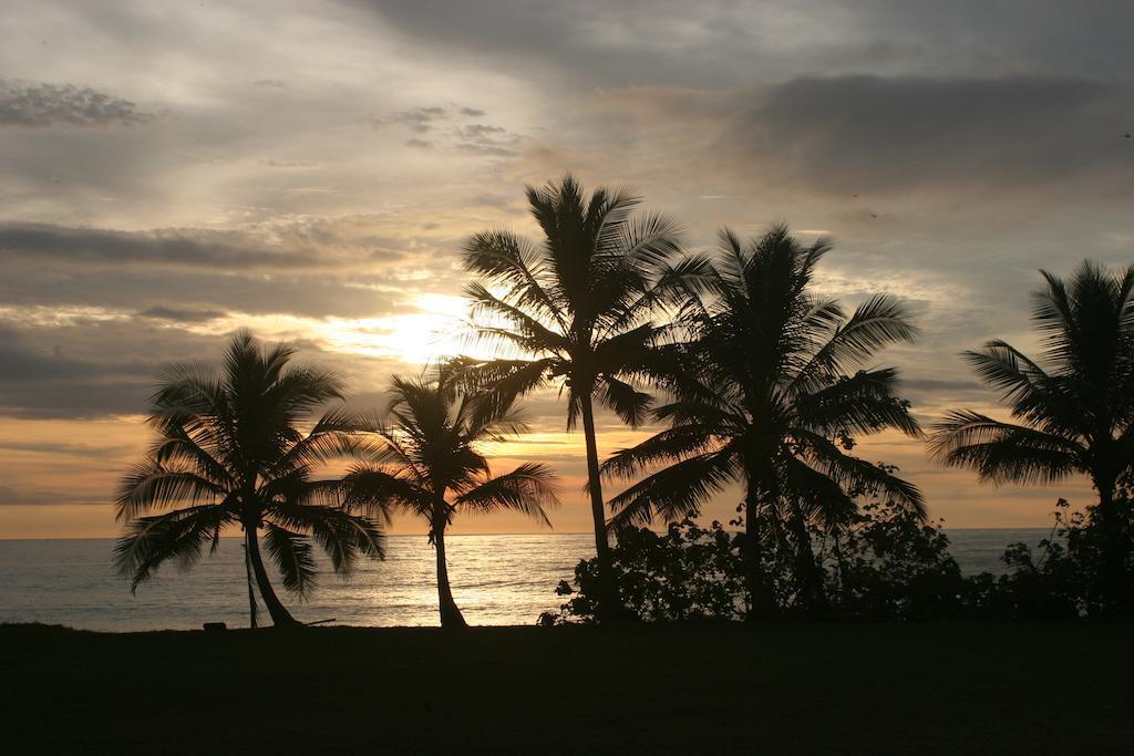 Playa Santa Teresa  Banana Beach Bungalows מראה חיצוני תמונה